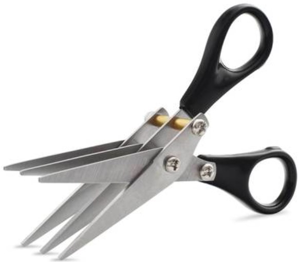 Worm Scissor