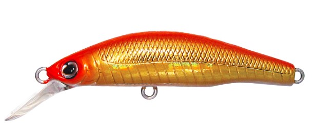 HAL TIGRIS
